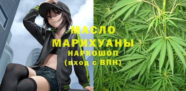 молекула духа Богородицк