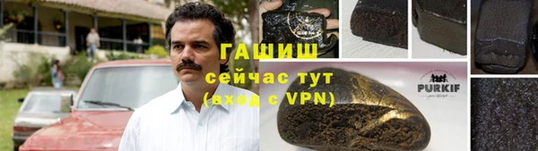 молекула духа Богородицк