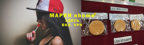 молекула духа Богородицк