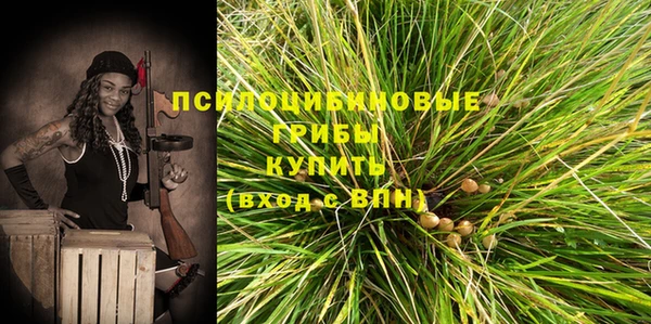 молекула духа Богородицк