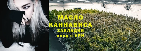молекула духа Богородицк