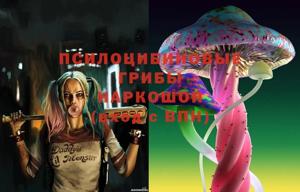 герыч Богородск