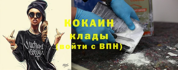 молекула духа Богородицк